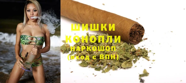 PSILOCYBIN Ростов
