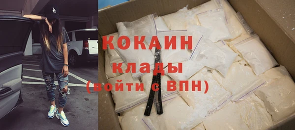 стафф Россошь