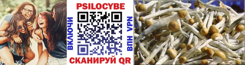 Галлюциногенные грибы Psilocybine cubensis  хочу наркоту  Дудинка 